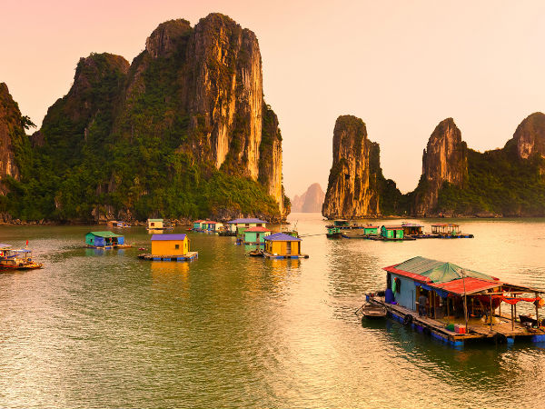 வியட்நாம் 