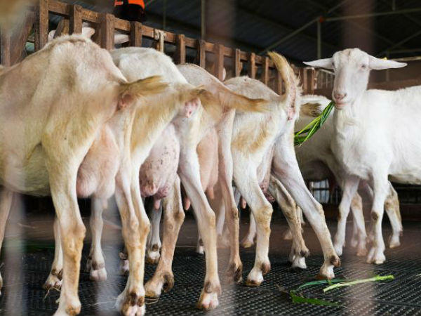 வருவாய் 