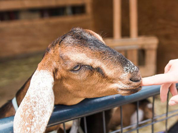 கர்வம் இல்லை 