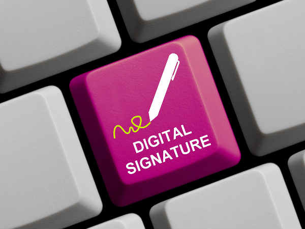 இந்தியாவில் DSC யில் உள்ள வகைகள் என்னென்ன? 