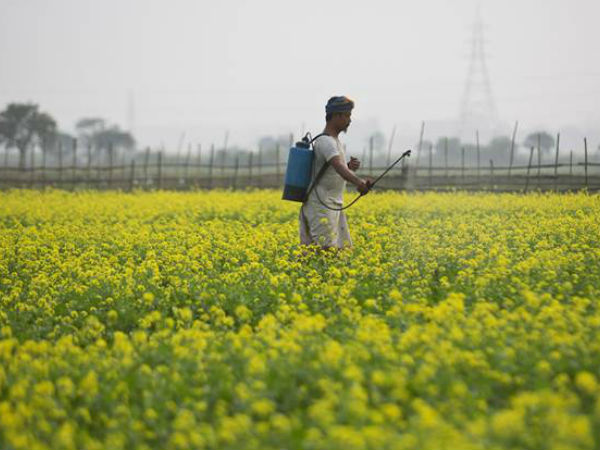 ரூ. 2000 கோடி நிதி ஒதுக்கீடு 