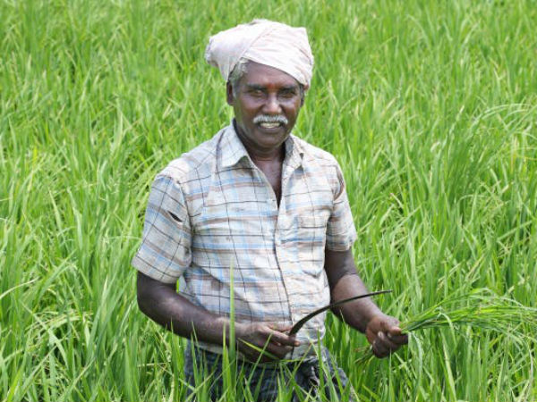 8000 கோடி பயிர்க்கடன்