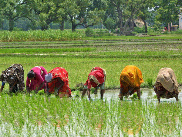 விவசாயிகள்