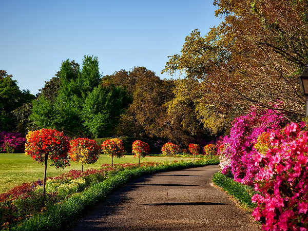 பசுமைப் பூங்கா