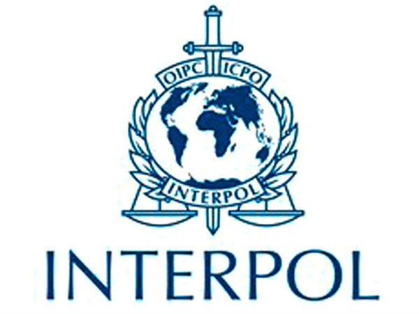 இண்டர்போல் 