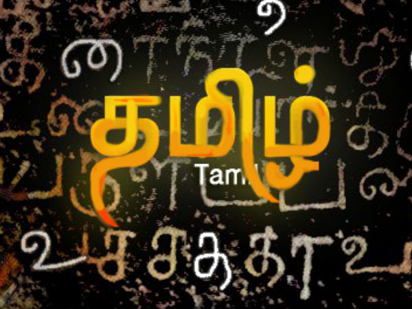 பிஎப் பேலன்ஸ் விவரங்களைத் தமிழில் பெறுவது எப்படி? 