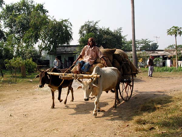 கிராமப்புற வங்கி கணக்குகள் 