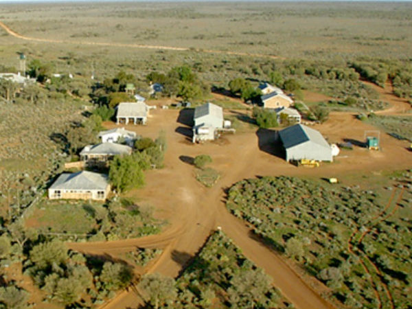 மேக்லாக்லான் குடும்பம் 