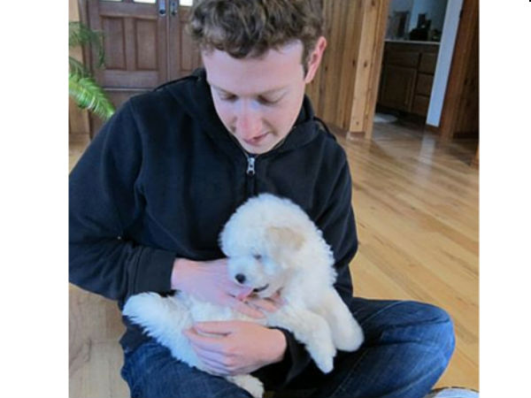 செல்லமாய் வளரும் செல்வப் பிராணி