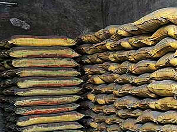 சிமெண்ட் நிறுவனம் 