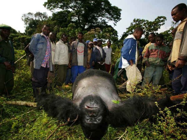 ஆபத்தான நாடுகளுக்குச் செல்லுபோது பயணக் காப்பீடு கிடையாது? 