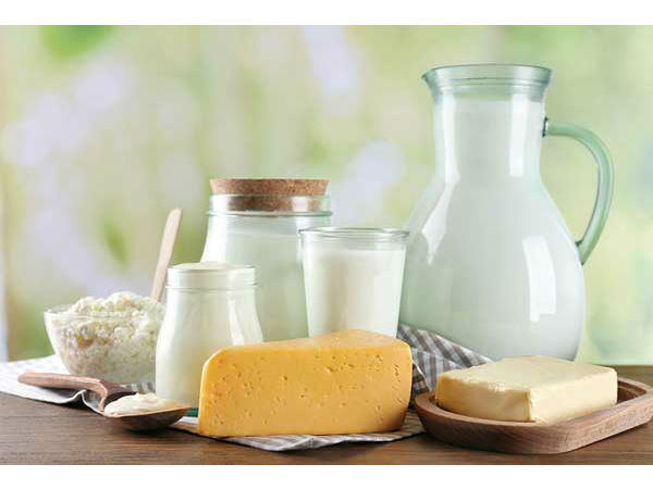 11. பால் சார்ந்த பொருட்கள் 