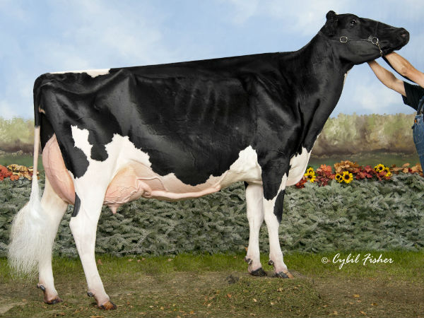  மிஸ் மிஸ்ஸி, 1,200,000 அமெரிக்க டாலர்கள் 