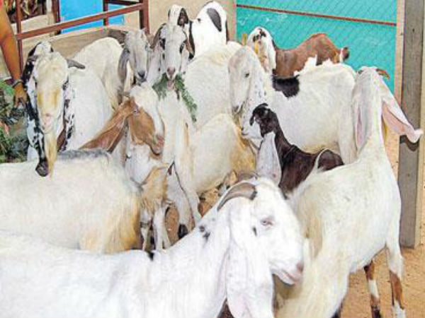  முதலீடும், இடம்பெயர்தலும்