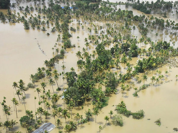  தோட்டப்பயிர்கள் நாசம் 