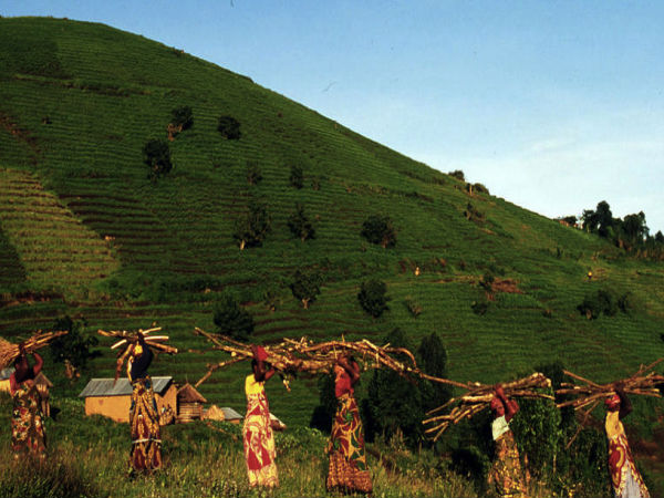 சிறந்து செயல்படும் தேசிய பிராண்டுகள் 