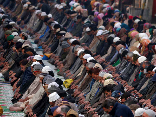  திட்ட பலி ஆடுகள்