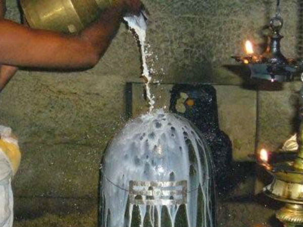 சைவம் தான்