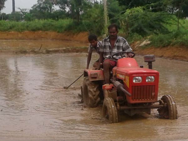 மானியத்தொகை 