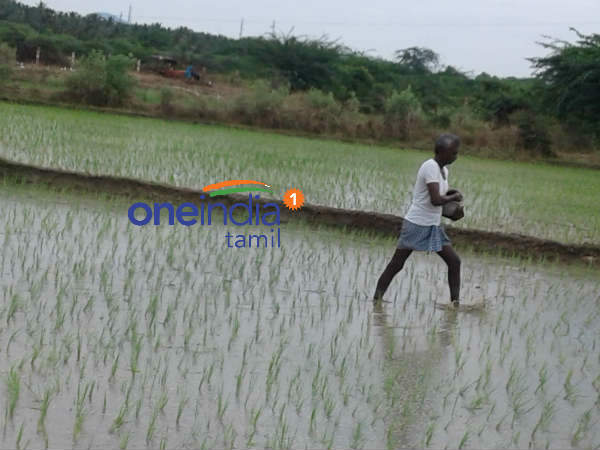 நிலம் உள்ளவர்கள் மட்டுமே 