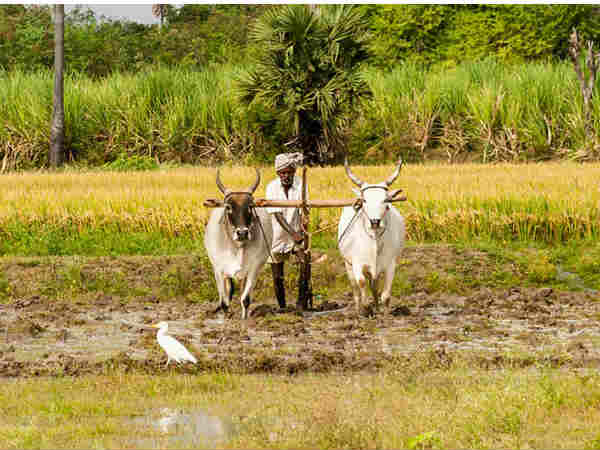 கண்டு கொள்ளாத காங்கிரஸ்