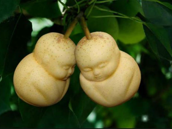 புத்தர் கிடைக்குமிடம் 