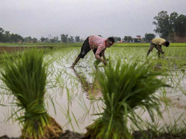 முட்டாள் ஆவதா? 