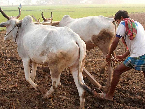 ஏன் எங்கள் பெயர்கள் 