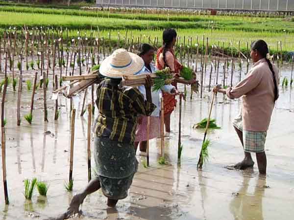 Expenditure not Investment 