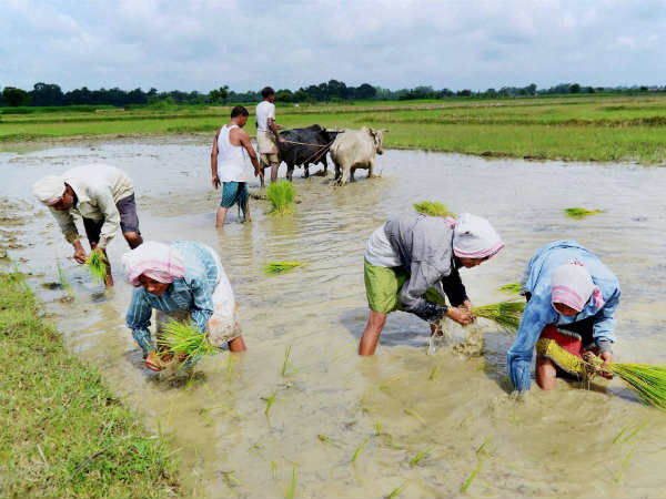 பிரதான் மந்திரி கிசான் சம்மன் நிதி திட்டம்