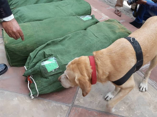 மொத்தமாக சோதனை 