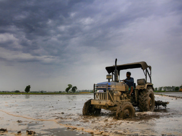 கலியா திட்டம் 