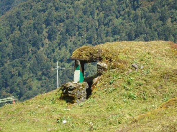 எங்கே..? வயது..? 