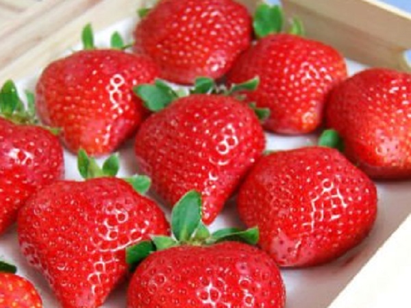 7. Sembikiya queen strawberry 