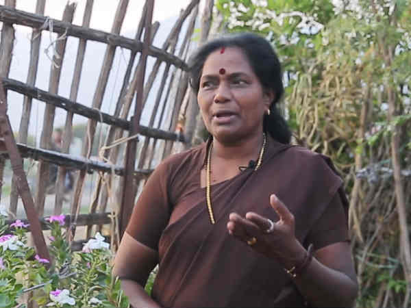 அரசுப் பணி 