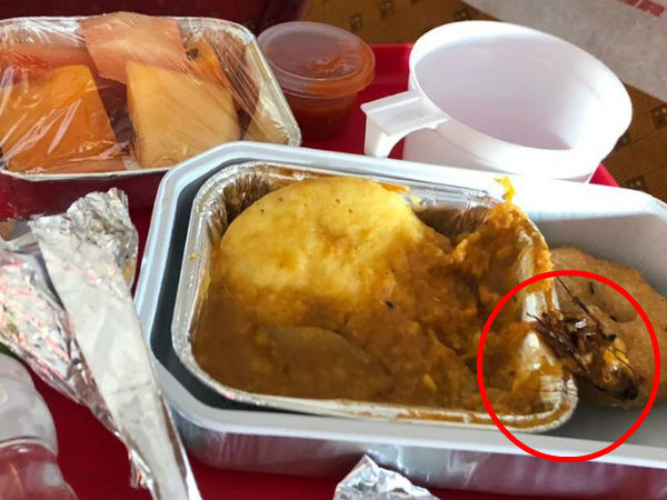 இட்லி வித் கரப்பான் பூச்சி