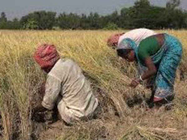 கிராம வாசி 