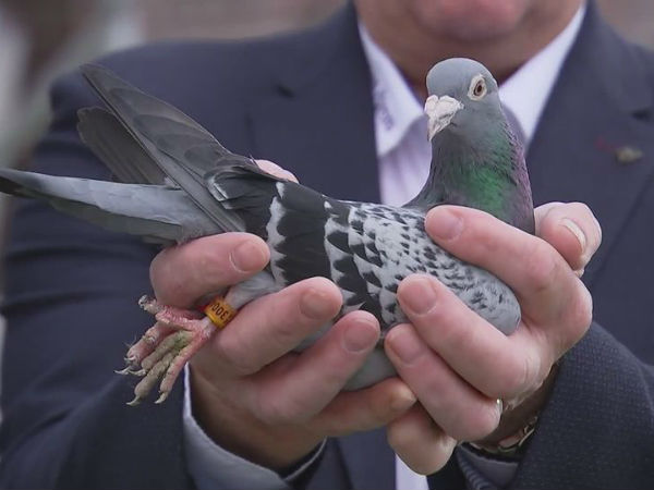 ஊதாரித்தனம்