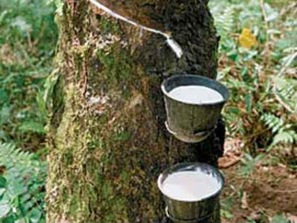 முந்தைய நிதி ஆண்டில் 