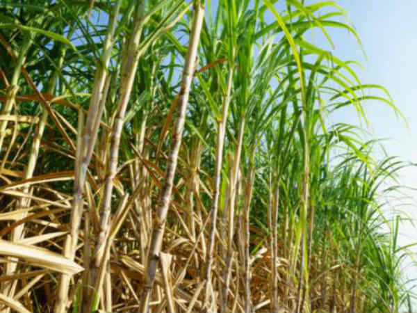 சமத்துவம் இல்லை 