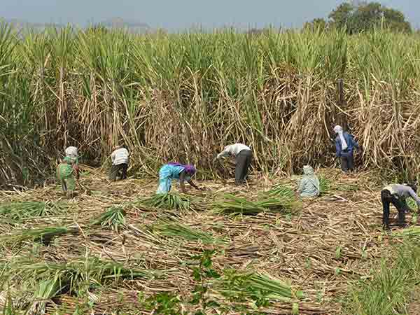 எத்தனால் 