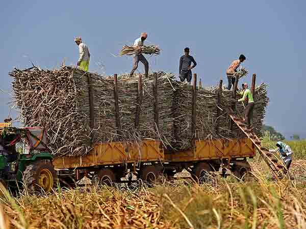 குறைந்த விலை நல்ல தரம் 