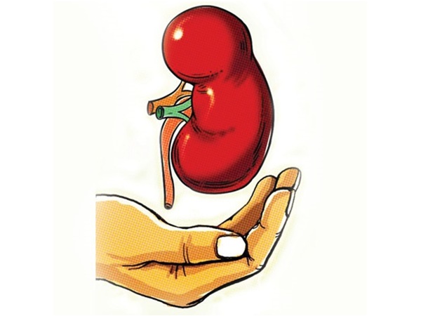 சட்டத்தில் இடம் இல்லை 