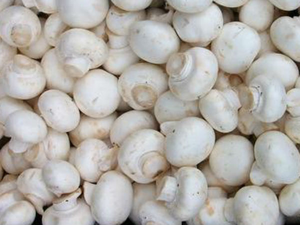 வைக்கோல் படுக்கை 