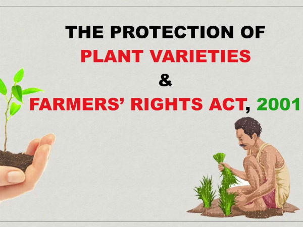 விளக்கம் 