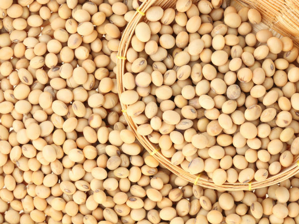 சோயாபீன் ஏற்றுமதி அதிகரிப்பு 