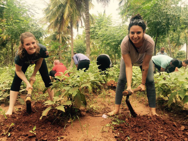 டேட்டா தேவை 