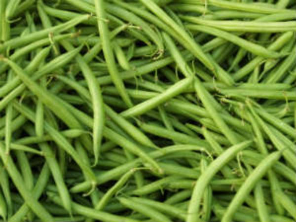 பீன்ஸ் உற்பத்தி குறைவு 