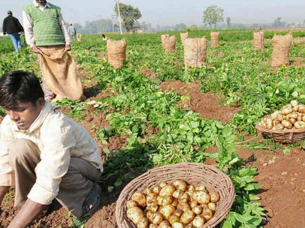 விவசாயிகள் தரப்பு 