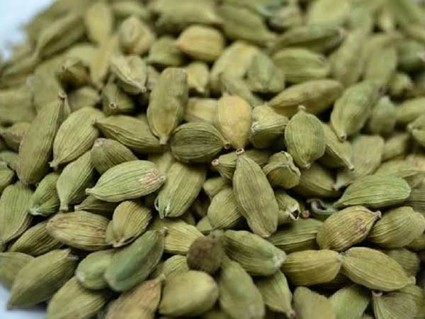 புதிய செடிகள் நடவு 